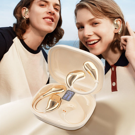HiFi Waterproof Ear Hook Bluetooth Headphones