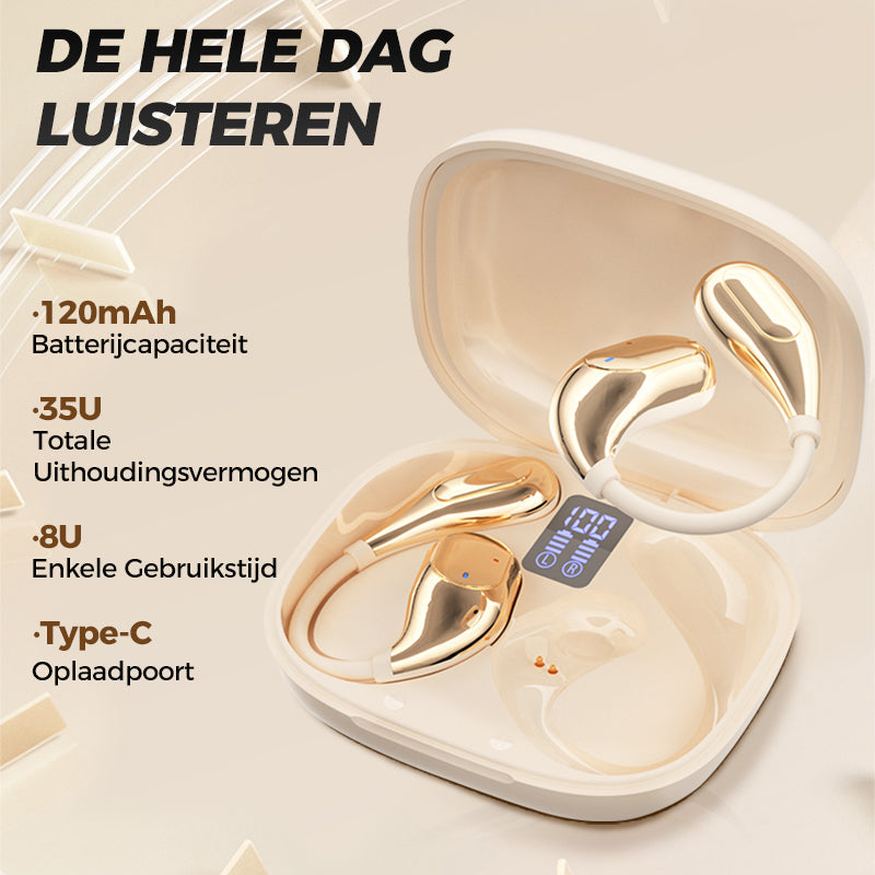 HiFi Waterproof Ear Hook Bluetooth Headphones