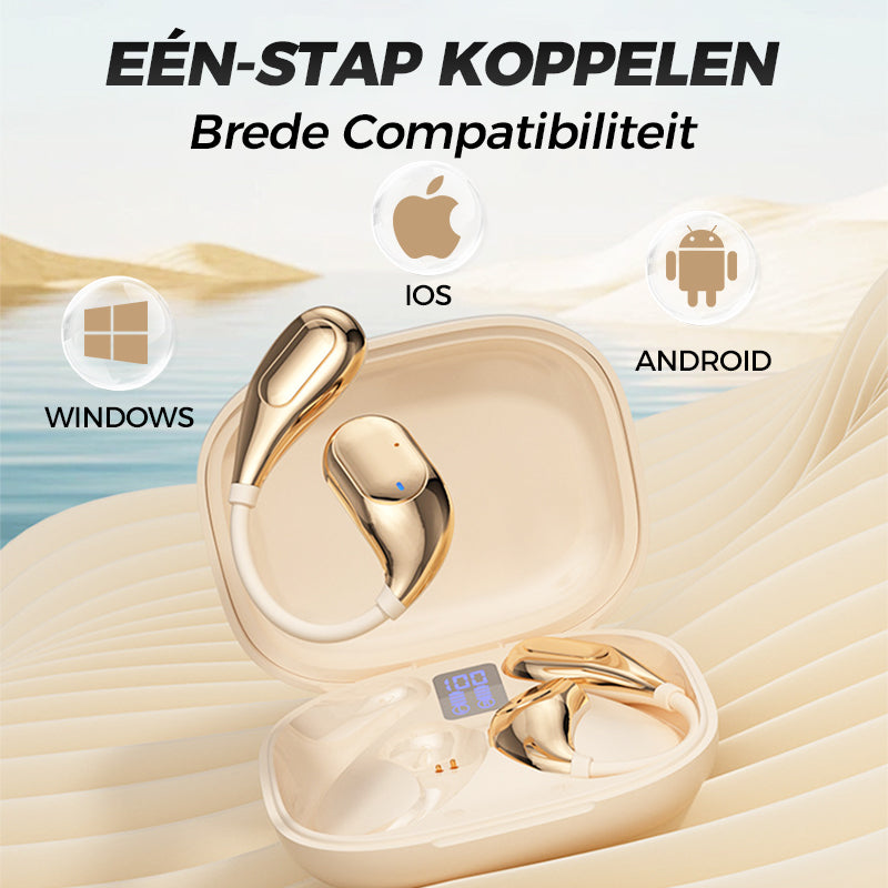 HiFi Waterproof Ear Hook Bluetooth Headphones