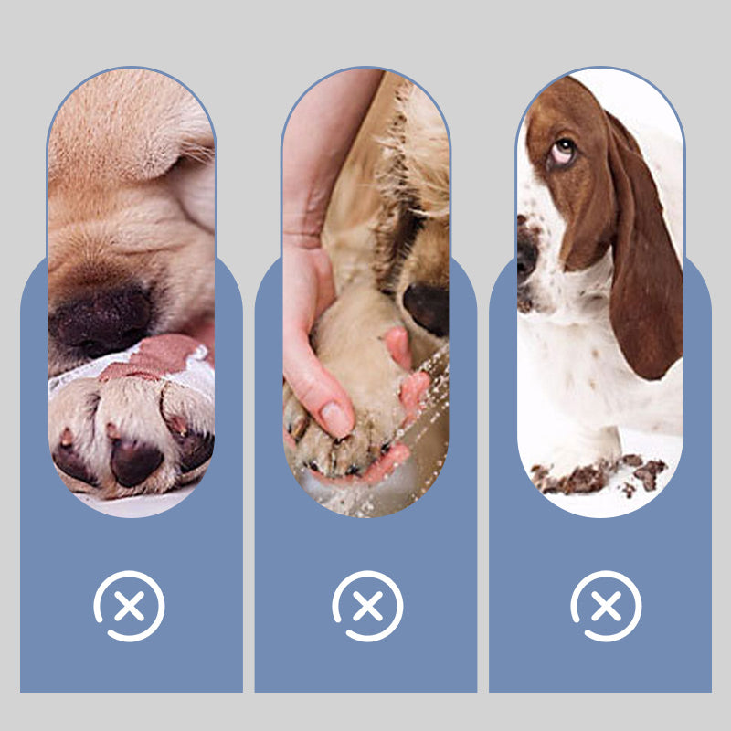 Non-Slip Waterproof Dog Socks