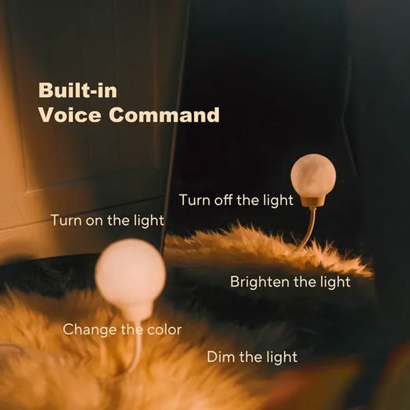 Super Smart Voice Controlled Moon Night Light
